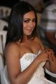 Actress Catherine Tresa Hot Images @ Gautham Nanda Teaser Launch