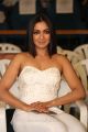 Telugu Actress Catherine Tresa Hot Images in White Dress