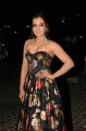 Actress Catherine Tresa Hot Photos @ Filmfare Awards (South) 2018
