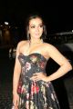 Actress Catherine Tresa Hot Photos @ 65th Jio Filmfare Awards South 2018