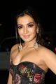 Actress Catherine Tresa Hot Photos @ 65th Jio Filmfare Awards South 2018