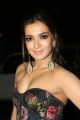 Actress Catherine Tresa Hot @ Filmfare Awards South 2018 Photos