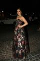 Actress Catherine Tresa Hot Photos @ Filmfare Awards South 2018