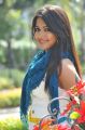 Iddarammayilatho Catherine Hot Photos