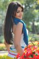 Iddarammayilatho Movie Actress Catherine Tresa Hot Photos