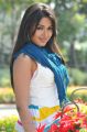 Iddarammayilatho Actress Catherine Hot Photos