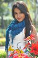 Iddarammayilatho Movie Actress Catherine Tresa Hot Photos