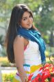 Iddarammayilatho Actress Catherine Hot Photos