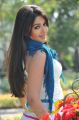 Actress Catherine Tresa Hot Photos in Iddarammayilatho Movie