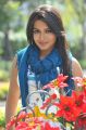 Actress Catherine Tresa Hot Photos in Iddarammayilatho Movie