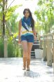 Iddarammayilatho Movie Actress Catherine Tresa Hot Photos