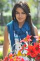 Actress Catherine Tresa Hot Photos in Iddarammayilatho Movie