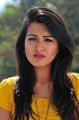 Catherine Tresa Hot Pictures in Yellow Top & Skirt