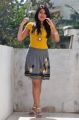 Katherine Theresa Hot Pictures in Yellow Top & Skirt