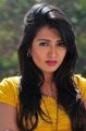 Katherine Theresa Latest Hot Pictures in Yellow Top & Skirt