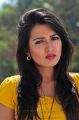 Katherine Theresa Hot Pictures in Yellow Top & Skirt