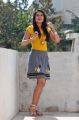 Catherine Tresa Hot Pictures in Yellow Top & Mini Skirt