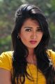 Actress Catherine Tresa Hot Pics in Yellow Top & Skirt