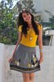 Catherine Tresa Hot Pictures in Yellow Top & Mini Skirt