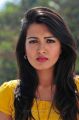 Catherine Tresa Hot Pictures in Yellow Top & Skirt