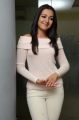 Actress Catherine Tresa Interview about Sarrainodu Movie