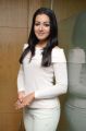 Actress Catherine Tresa Interview about Sarrainodu Movie