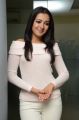 Sarrainodu Movie Actress Catherine Tresa Interview Photos