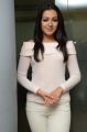 Sarrainodu Movie Actress Catherine Tresa Interview Photos