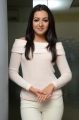 Sarainodu Movie Actress Catherine Tresa Interview Photos