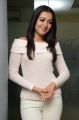 Actress Catherine Tresa Interview about Sarrainodu Movie