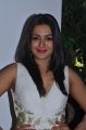 Actress Catherine Tresa Stills @ Kanithan Music Release