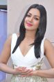 Kanithan Movie Actress Catherine Tresa Stills