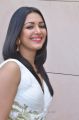 Kanithan Movie Actress Catherine Tresa Hot Stills