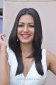 Actress Catherine Tresa Stills @ Kanithan Audio Release