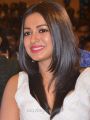 Actress Catherine Tresa Stills @ Kanithan Audio Launch