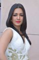 Actress Catherine Tresa Stills @ Kanithan Music Release