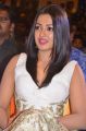 Actress Catherine Tresa Stills @ Kanithan Audio Launch