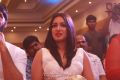 Actress Catherine Tresa Stills @ Kanithan Audio Release