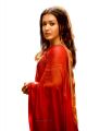 Naga Kanya Actress Catherine Tresa in Red Saree Images HD