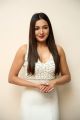 Vadaladu Movie Actress Catherine Tresa New Pics