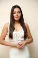 Actress Catherine Tresa Pics @ Vadaladu Pre Release