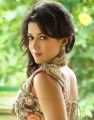 Tamil Actress Catherine Tresa Photo Shoot Stills