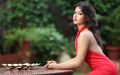 Tamil Heroine Catherine Tresa Hot Photo Shoot Stills