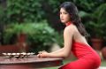 Tamil Actress Catherine Tresa Hot Photo Shoot Stills