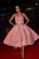 Actress Catherine Tresa Pics @ Filmfare Awards South 2017 Red Carpet