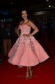 Telugu Actress Catherine Tresa Pics @ Filmfare Awards 2017 South Red Carpet