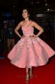 Actress Catherine Tresa Pics @ Jio Filmfare Awards 2017 South Red Carpet