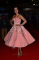 Telugu Actress Catherine Tresa Pics @ 64th Filmfare Awards 2017 South Red Carpet