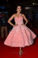 Actress Catherine Tresa Pics @ Filmfare Awards 2017 South Red Carpet