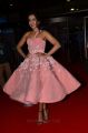 Actress Catherine Tresa Pics @ Filmfare Awards South 2017 Red Carpet